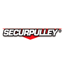 Securpulley scaffold pulley
